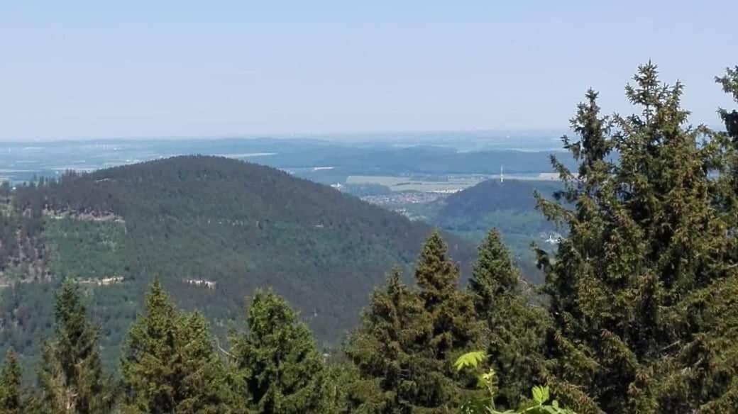 Harzlich Apartment Altenau  Bagian luar foto